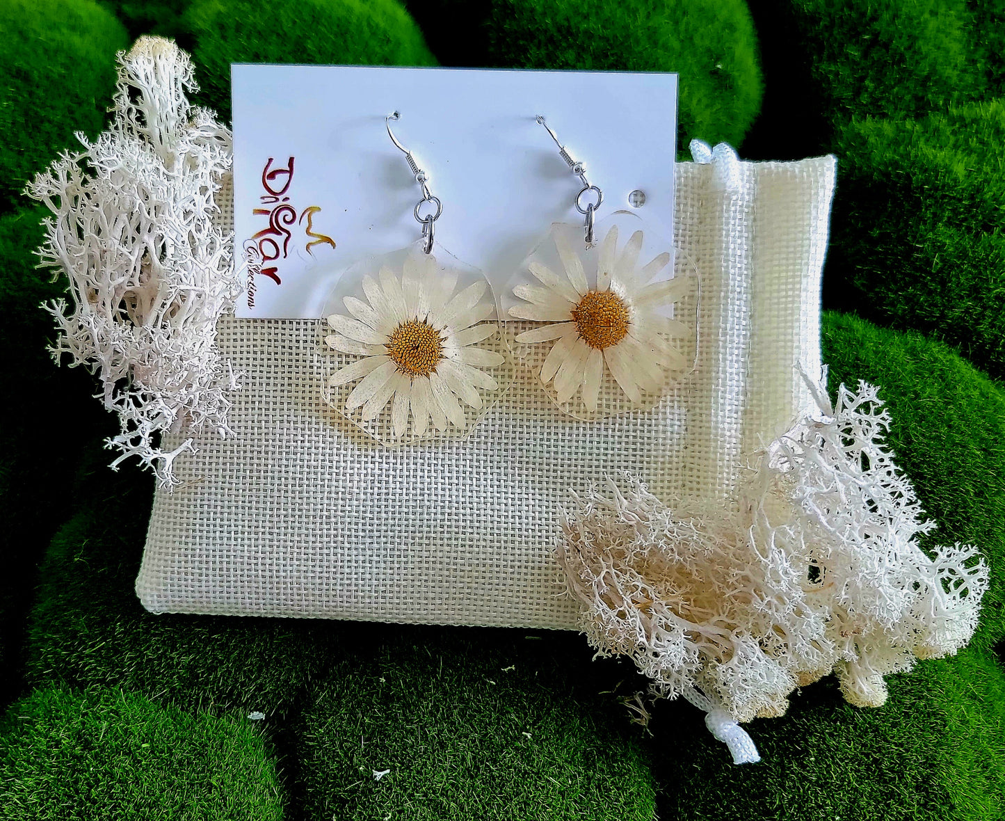 Twin White Daisy Earrings