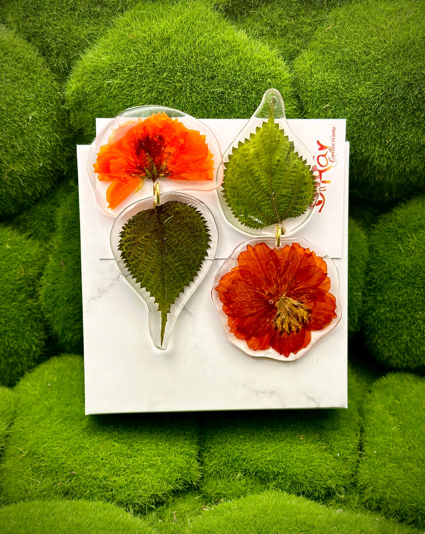 Orange Cosmos Guapurras