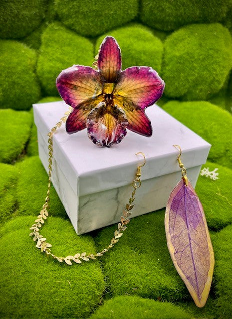 Burgundy CATTLEYA ORCHID