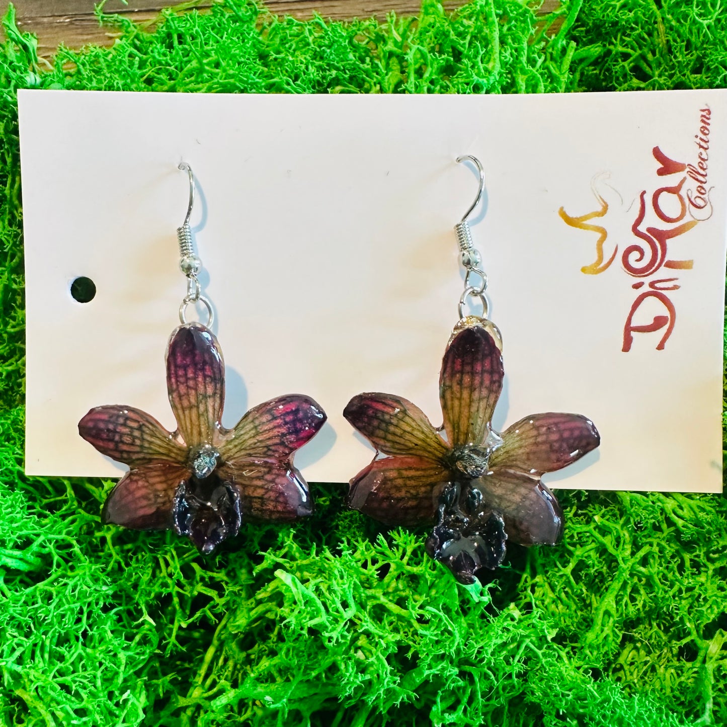 MINI NOBILE "DENDROBIUM" PURPLE-YELLOW