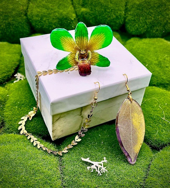 Green LUCY "DENDROBIUM" ORCHID