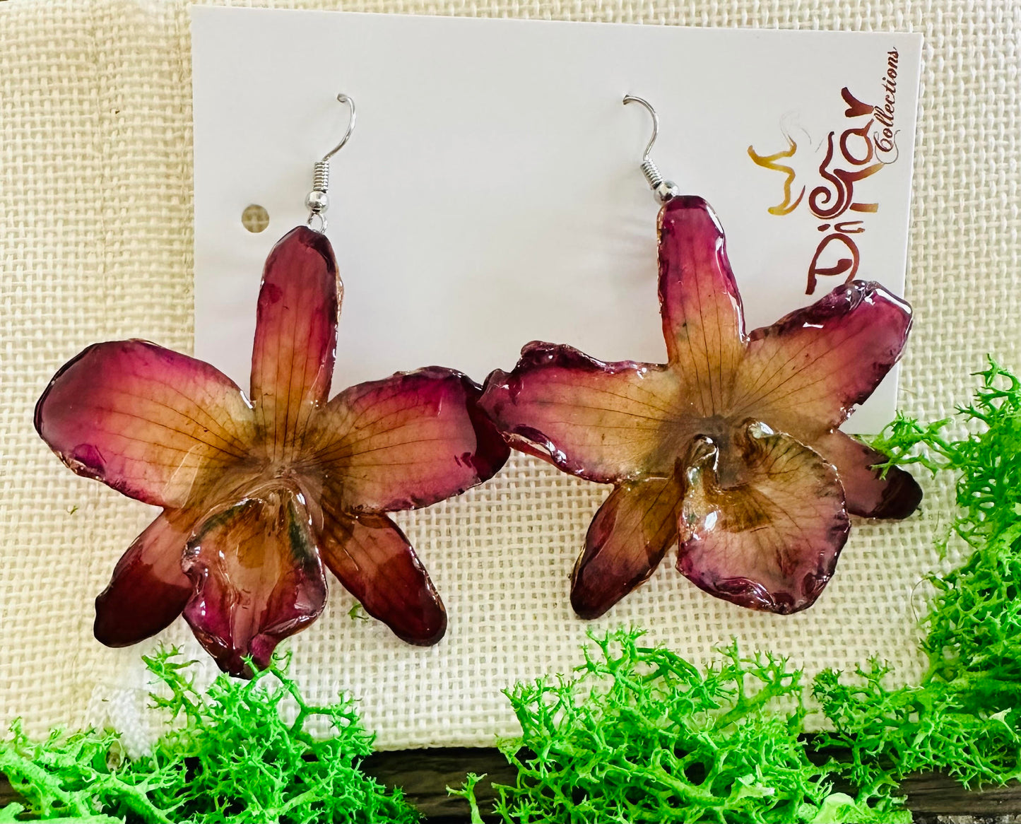 CHRYSOTOXUM DENDROBIUM RED-YELLOW