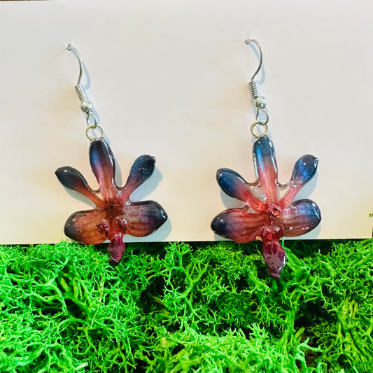 MINI DORITIS "PHALAENOPSIS" RED-BLUE earrings 