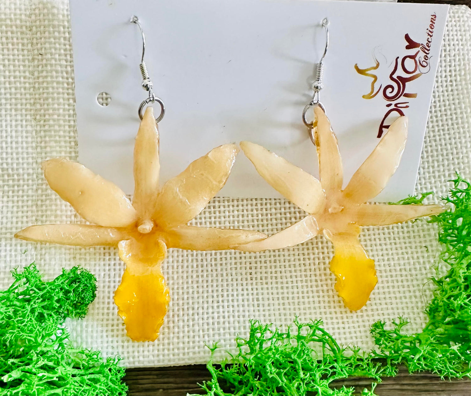 Draconis &quot;Dendrobium&quot; White-Yellow Earrings