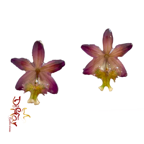Orchid mini studs